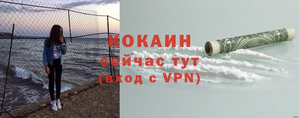 индика Армянск