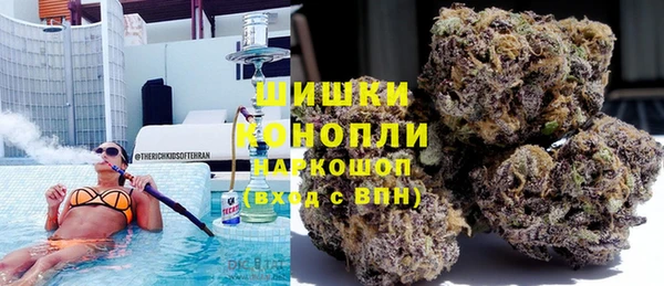 индика Армянск